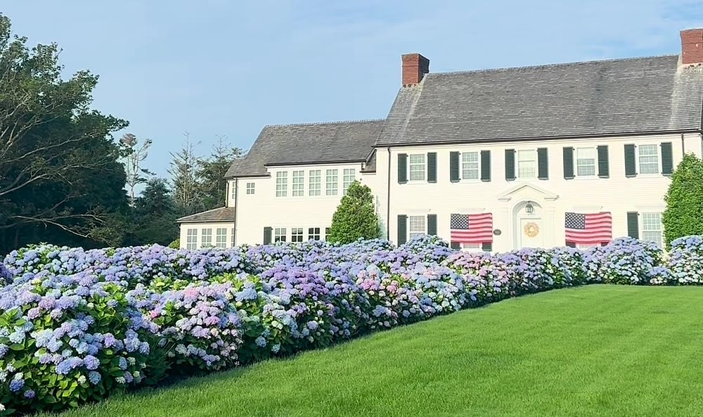 A white Cape Cod colonial with black shutters and two American flags, fronted by a long row of blue and purple hydrangeas in Chatham, Massachusetts